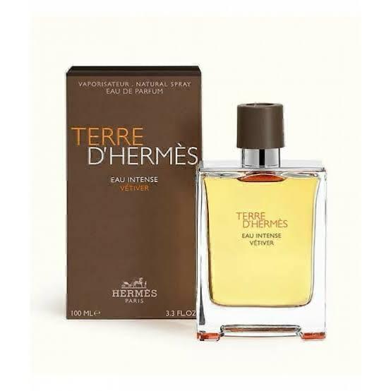 Terre D'Hermes Pure Parfum Perfume for Men 100ml